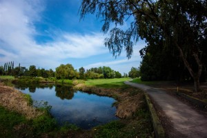 Surrey-Golf-Club-(20) 