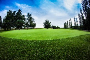 Surrey-Golf-Club-(21)
