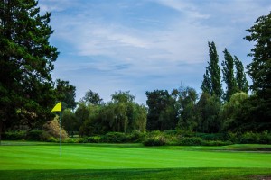 Surrey-Golf-Club-(24)