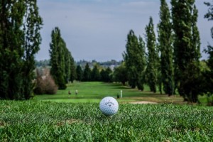 Surrey-Golf-Club-(37)