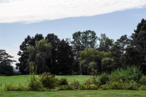Surrey-Golf-Club-(42)