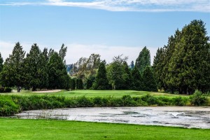 Surrey-Golf-Club-(49)