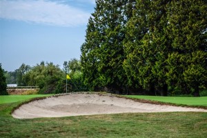 Surrey-Golf-Club-(50)