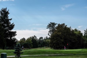 Surrey-Golf-Club-(56)