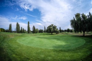 Surrey-Golf-Club-(60)