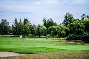 Surrey-Golf-Club-(68)