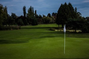Surrey-Golf-Club-(11) 