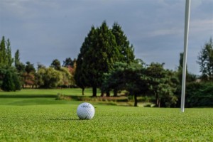 Surrey-Golf-Club-(14) 