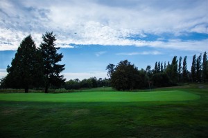 Surrey-Golf-Club-(25)