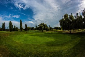 Surrey-Golf-Club-(26)