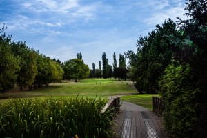 Surrey-Golf-Club-(27)