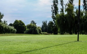 Surrey-Golf-Club-(31)