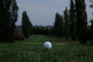 Surrey-Golf-Club-(36)