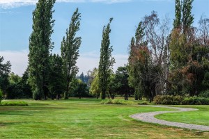 Surrey-Golf-Club-(43)