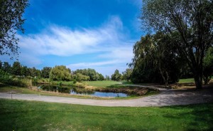 Surrey-Golf-Club-(44)