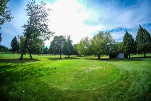Surrey-Golf-Club-(45)