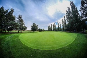 Surrey-Golf-Club-(46)