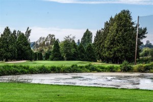 Surrey-Golf-Club-(48)