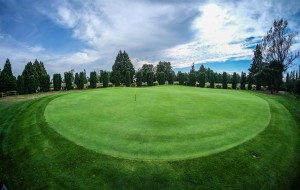 Surrey-Golf-Club-(53)