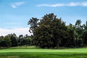 Surrey-Golf-Club-(55)