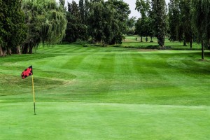 Surrey-Golf-Club-(58)