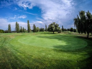 Surrey-Golf-Club-(59)