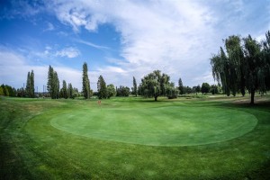 Surrey-Golf-Club-(61)