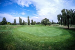 Surrey-Golf-Club-(62)