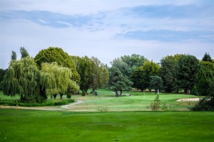 Surrey-Golf-Club-(63)